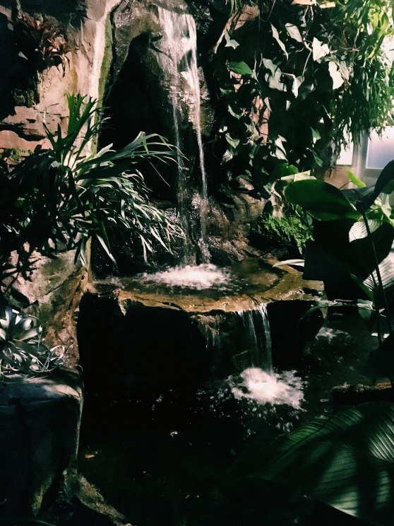 Processed with VSCO with c1 preset